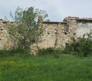 Rustico/Casale in vendita a Sogliano al Rubicone (Forlì-Cesena)