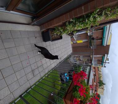 Trilocale in vendita a Varese (Varese)