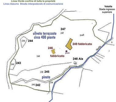 Terreno Agricolo/Coltura in vendita a Perdifumo, Frazione Vatolla, località prati 17