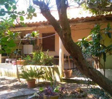 Affitto Villa Vacanze a Neviano (Lecce)