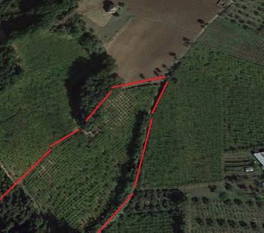 Terreno Agricolo/Coltura in vendita a Crecchio, Frazione Villa Baccile, Contrada Villa Baccile 96