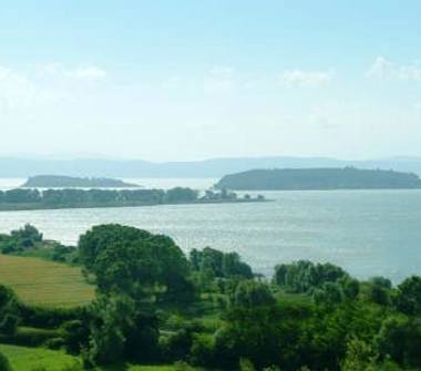 Terreno Edificabile Residenziale in vendita a Tuoro sul Trasimeno (Perugia)