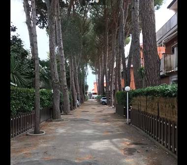 Affitto Appartamento Vacanze a San Felice Circeo (Latina)