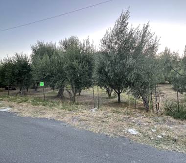 Terreno Edificabile Residenziale in vendita a Mandatoriccio, Frazione Marina Di Mandatoriccio, Viale delle Mimose 1