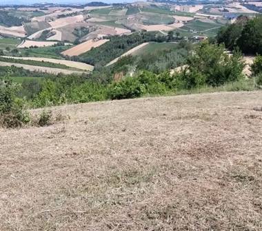 Terreno Edificabile Residenziale in vendita a Cossignano (Ascoli Piceno)
