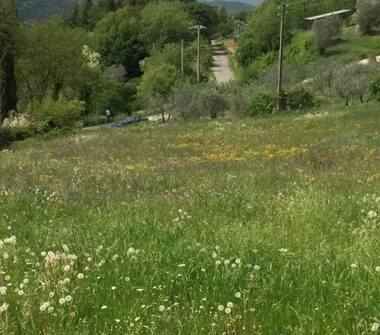 Terreno Edificabile Residenziale in vendita a Subbiano, Frazione Giuliano, Località Giuliano 0