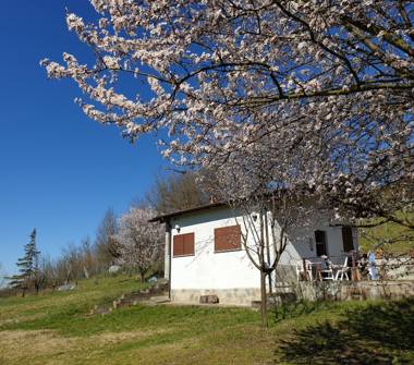 Rustico/Casale in vendita a Basaluzzo (Alessandria)