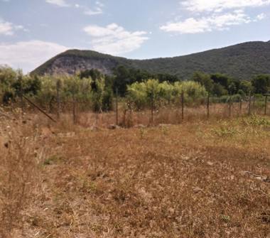 Terreno Agricolo/Coltura in vendita a San Felice Circeo (Latina)