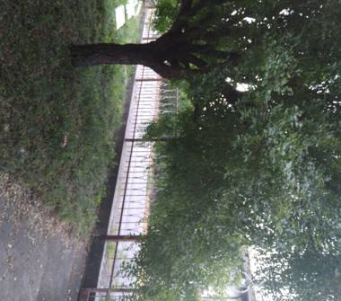 Rustico/Casale in vendita a Masi, Frazione Colombare