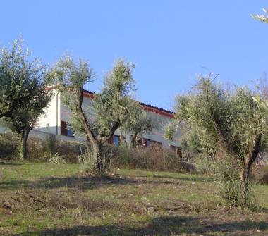 Azienda Agricola in vendita a Capena (Roma)