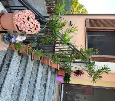 Villetta a schiera in vendita a Vigevano (Pavia)