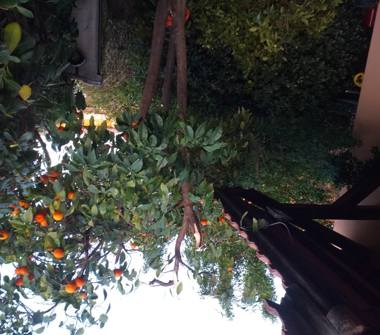 Casa indipendente in vendita a Grosseto, Frazione Centro città