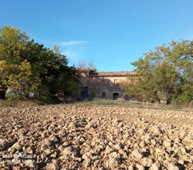 Rustico/Casale in vendita a Pergola, Frazione Località Serraspinosa, Strada Provinciale Tarugo 24