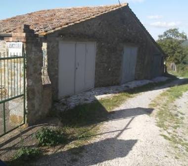 Terreno Agricolo/Coltura in vendita a Scansano, Frazione Pancole, Via Centrale 13