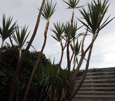 Villa in vendita a Bari, Zona Carbonara