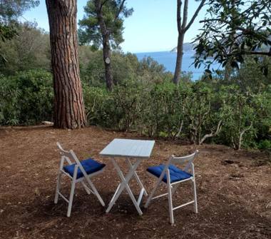 Affitto Casa Vacanze a Marciana, Frazione Colle Di Procchio