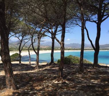 Affitto Appartamento Vacanze a Budoni, Frazione Limpiddu, Via Tirso 44