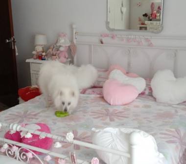 Casa indipendente in vendita a Vallefoglia (Pesaro e Urbino), Via San Michele 14