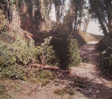 Terreno Agricolo/Coltura in vendita a Casciana Terme Lari (Pisa)