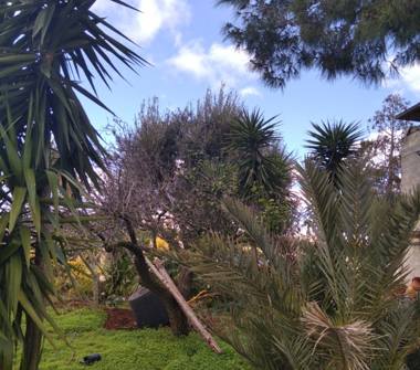 Affitto Appartamento Vacanze a Sava (Taranto)