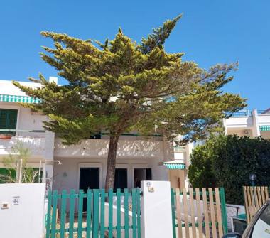 Affitto Appartamento Vacanze a Gallipoli (Lecce), Via garofani 35