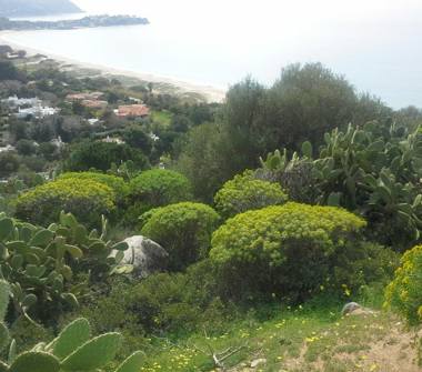 Affitto Villa Vacanze a Quartu Sant'Elena, Frazione Geremeas