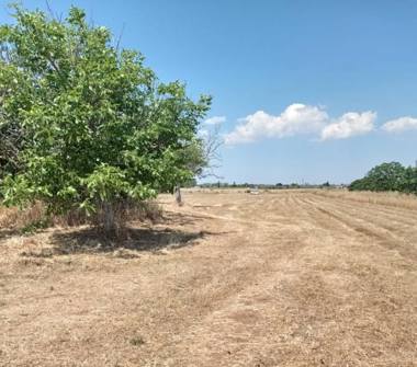 Terreno Edificabile Residenziale in vendita a Andrano (Lecce)