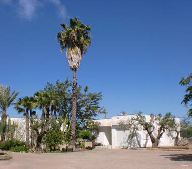 Affitto Villa Vacanze a Gallipoli (Lecce)