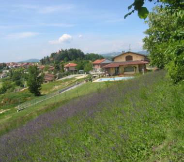 Villa in vendita a Montechiaro d'Asti (Asti)