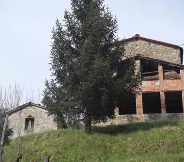 Rustico/Casale in vendita a Barga, Frazione Catagnana