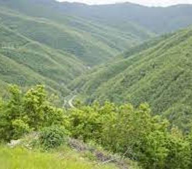 Casa indipendente in vendita a Cantalupo Ligure, Frazione Zedebassi