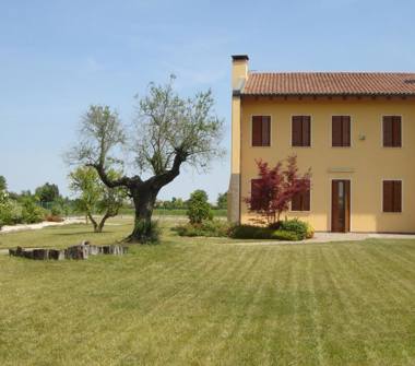 Villetta a schiera in vendita a Vigodarzere, Frazione Tavo