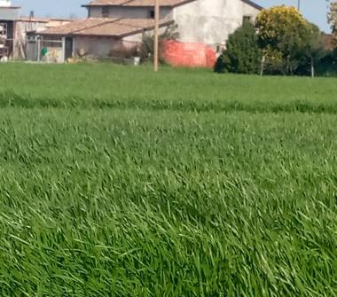 Rustico/Casale in vendita a Gatteo, Frazione Gatteo A Mare