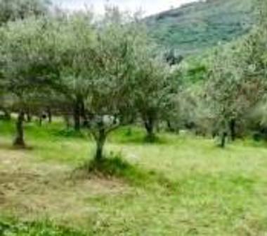 Terreno Agricolo/Coltura in vendita a Prossedi (Latina), Contrada Colli 19