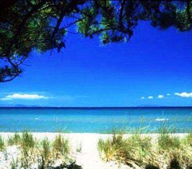 Affitto Rustico/Casale Vacanze a Roccastrada, Frazione Roccatederighi, via delle coste  roccatederighi 5