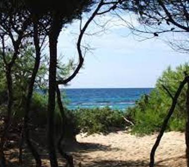 Affitto Appartamento Vacanze a Gallipoli (Lecce), Strada Provinciale 108 18