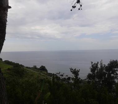 Trilocale in vendita a Scalea (Cosenza)