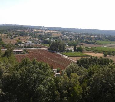 Affitto Villa Vacanze a Fasano (Brindisi)