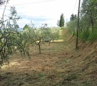 Terreno Agricolo/Coltura in vendita a Arezzo, Frazione Ceciliano