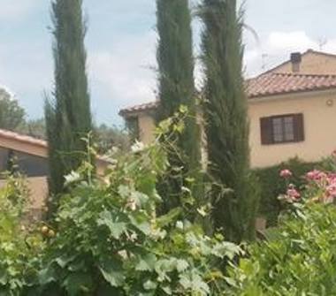 Casa indipendente in vendita a Cortona (Arezzo), Località San Pietro a Cegliolo 50