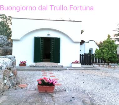 Affitto Rustico/Casale Vacanze a Ceglie Messapica (Brindisi)