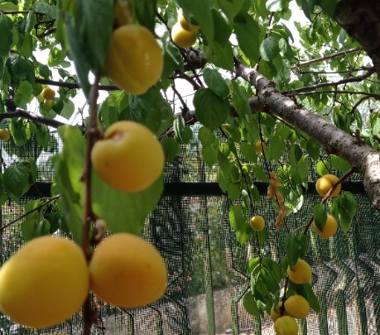 Villa in vendita a Camerota, Frazione Marina Di Camerota