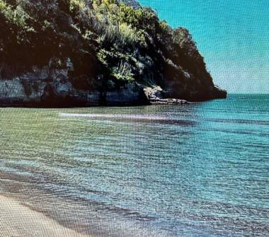 Affitto Stanza Posto letto a Pozzuoli (Napoli)