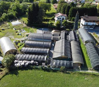 Azienda Agricola in vendita a Centro Valle Intelvi (Como), Via al Fareé 5