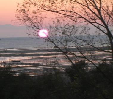 Affitto Appartamento Vacanze a Grado, Frazione Grado Pineta