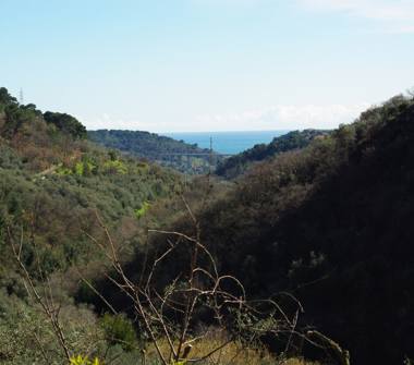 Terreno Edificabile Residenziale in vendita a Villa Faraldi, Frazione Riva Faraldi, Strada Provinciale 34 16