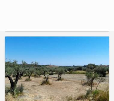 Terreno Edificabile Commerciale in vendita a Isca sullo Ionio (Catanzaro), Via Olivarella 5