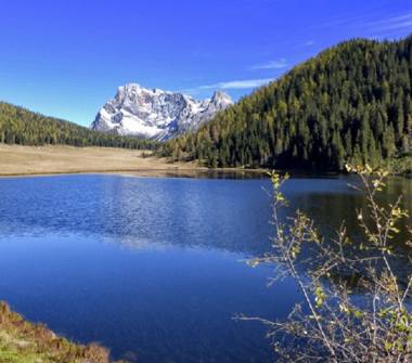 Affitto Appartamento Vacanze a Canal San Bovo (Trento), Località Battistoti 6
