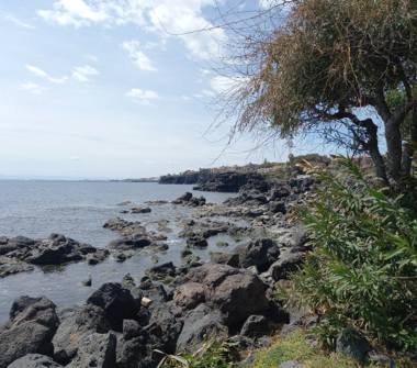 Affitto Casa Vacanze a Aci Castello (Catania)