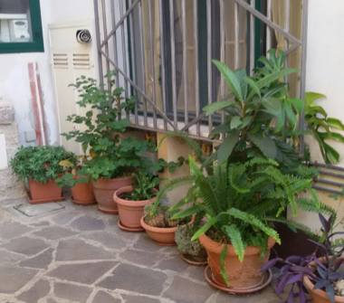 Quadrilocale in affitto a Pellezzano, Frazione Coperchia, Via Giacomo Matteotti 5